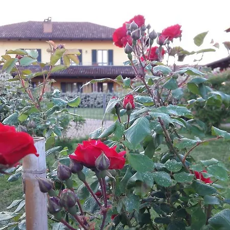 Lantgård I Vigneti Del Mandorlo Mombaruzzo