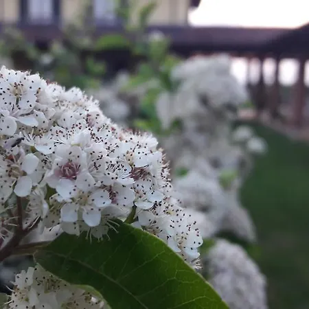 I Vigneti Del Mandorlo Alloggio per agriturismo