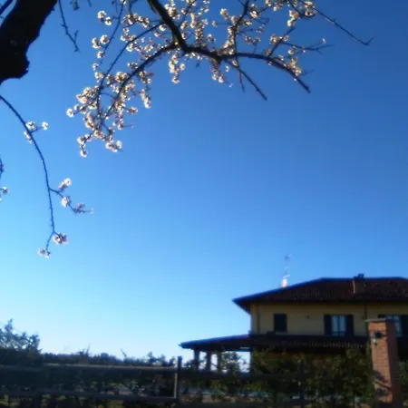 I Vigneti Del Mandorlo Mombaruzzo